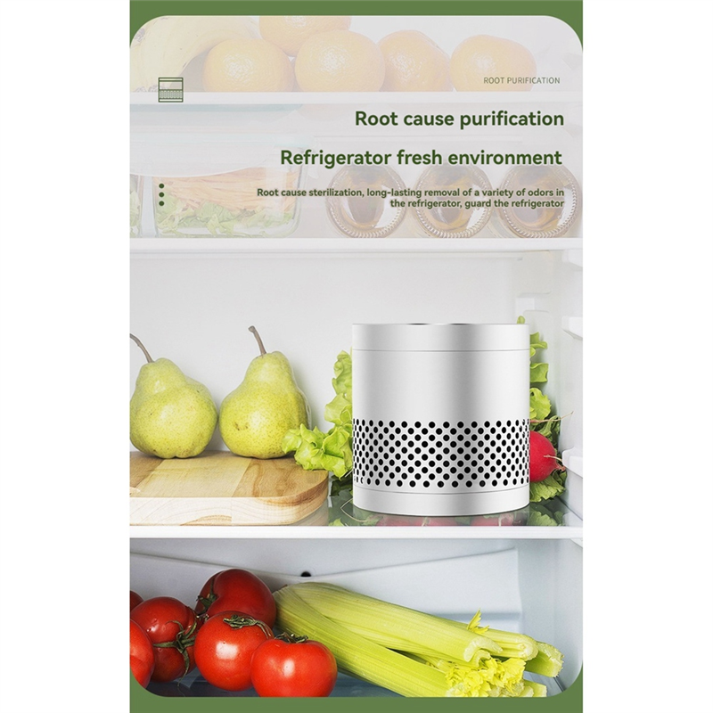 ABLA-Odor Eliminator  For Refr - Odor Eliminator Car recensione e prezzo